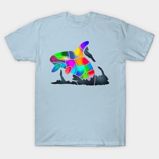 Rainbow Orca T-Shirt